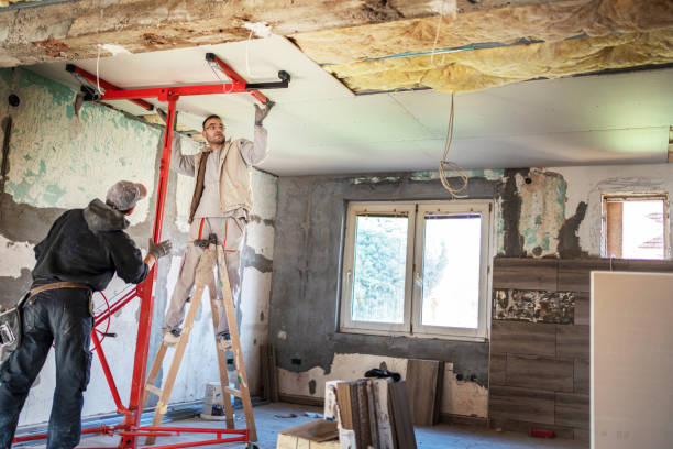 Best Cellulose Insulation in Maryvle, IL
