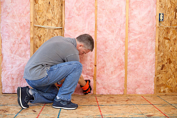 Best Eco-Friendly Insulation in Maryvle, IL